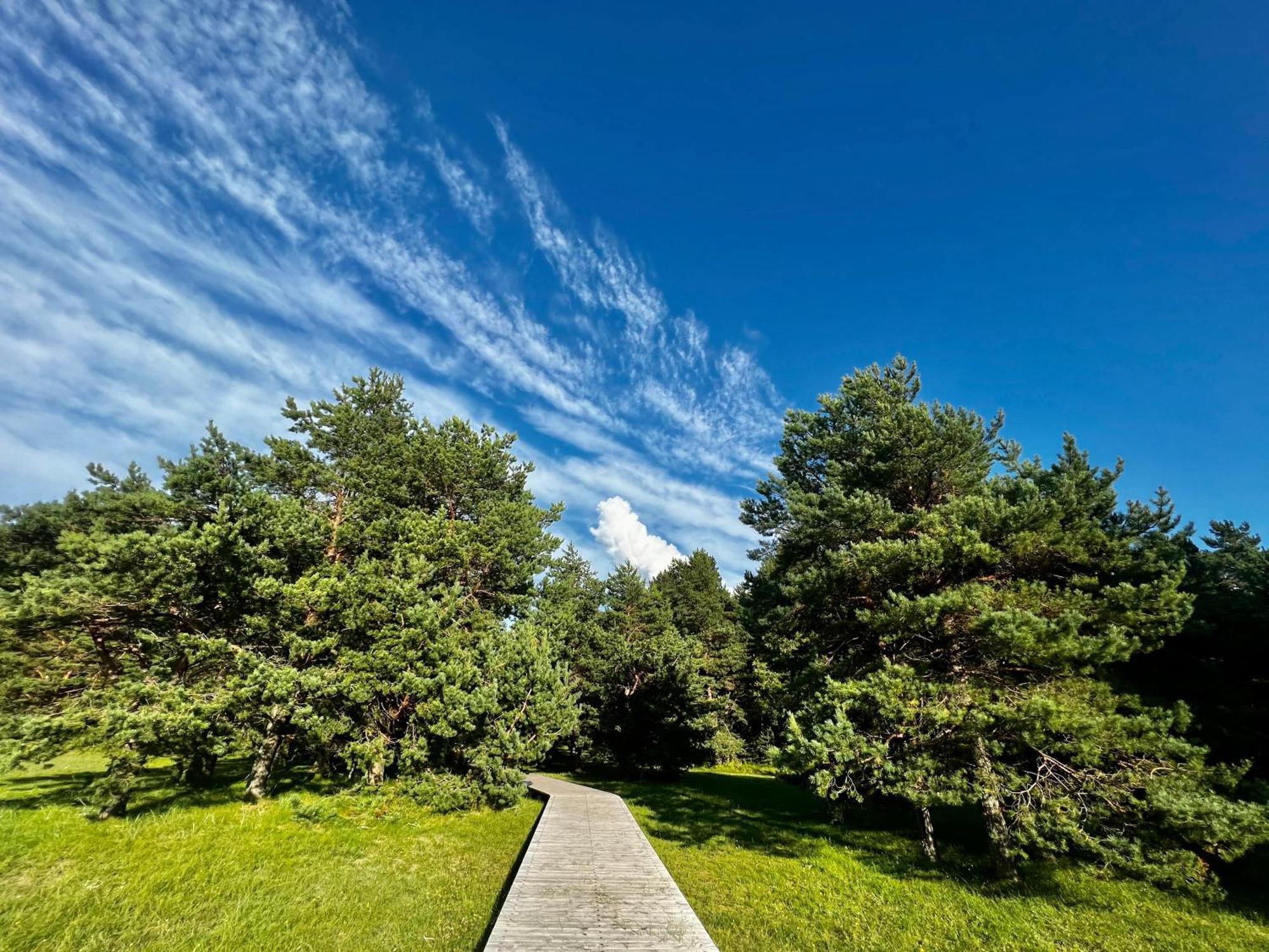 Eco-House Ainazi Villa Екстериор снимка